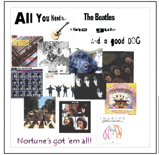 All You Need Is...  The BeatlesCD